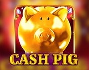 Cash Pig