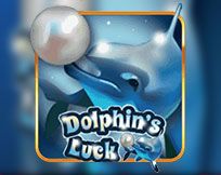 Dolphins Luck